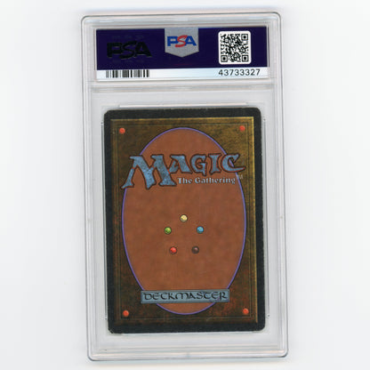 1993 Magic The Gathering Christopher Rush Forest Beta Authentic (#MW8024)